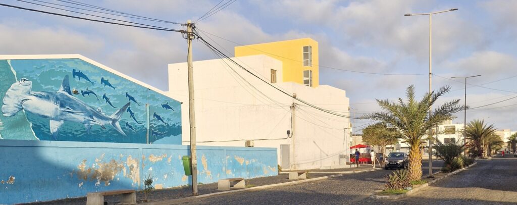 Street in Sal Rei, Boa Vista with palm trees and local houses in Cape Verde